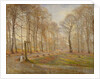 Late Autumn Day in the Jægersborg Deer Park, North of Copenhagen, 1886 by Theodor Esbern Philipsen