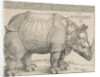 The Rhinoceros, 1515 by Albrecht Dürer or Duerer