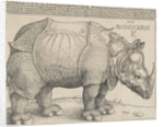 The Rhinoceros, 1515 by Albrecht Dürer or Duerer