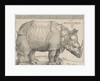 The Rhinoceros, 1515 by Albrecht Dürer or Duerer