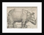 The Rhinoceros, 1515 by Albrecht Dürer or Duerer