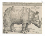 The Rhinoceros, 1515 by Albrecht Dürer or Duerer