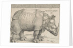 The Rhinoceros, 1515 by Albrecht Dürer or Duerer