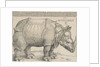 The Rhinoceros, 1515 by Albrecht Dürer or Duerer