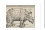 The Rhinoceros, 1515 by Albrecht Dürer or Duerer