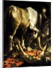 The Conversion of St. Paul, 1601 by Michelangelo Merisi da Caravaggio