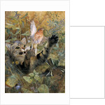 A Cat and a Chaffinch, 1885 by Bruno Andreas Liljefors