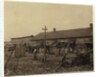 Housing for about 50 employees of Maggioni Canning Co., Port Royal, South Carolina, surrounded by marsh and on an old shell pile, 1912 by Lewis Wickes Hine