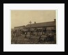 Housing for about 50 employees of Maggioni Canning Co., Port Royal, South Carolina, surrounded by marsh and on an old shell pile, 1912 by Lewis Wickes Hine