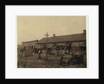 Housing for about 50 employees of Maggioni Canning Co., Port Royal, South Carolina, surrounded by marsh and on an old shell pile, 1912 by Lewis Wickes Hine