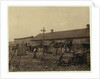 Housing for about 50 employees of Maggioni Canning Co., Port Royal, South Carolina, surrounded by marsh and on an old shell pile, 1912 by Lewis Wickes Hine