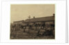 Housing for about 50 employees of Maggioni Canning Co., Port Royal, South Carolina, surrounded by marsh and on an old shell pile, 1912 by Lewis Wickes Hine