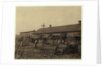 Housing for about 50 employees of Maggioni Canning Co., Port Royal, South Carolina, surrounded by marsh and on an old shell pile, 1912 by Lewis Wickes Hine