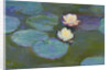 Nympheas, 1897-8 by Claude Monet