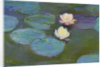 Nympheas, 1897-8 by Claude Monet