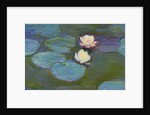 Nympheas, 1897-8 by Claude Monet