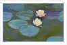 Nympheas, 1897-8 by Claude Monet