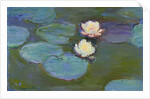 Nympheas, 1897-8 by Claude Monet