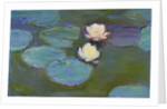 Nympheas, 1897-8 by Claude Monet