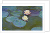 Nympheas, 1897-8 by Claude Monet
