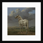 The 'Piebald' Horse, c.1650-4 by Paulus Potter