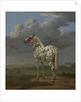 The 'Piebald' Horse, c.1650-4 by Paulus Potter