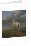 The 'Piebald' Horse, c.1650-4 by Paulus Potter
