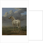The 'Piebald' Horse, c.1650-4 by Paulus Potter