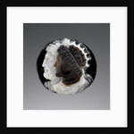 Cameo, 18th or 19th century by School European