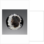 Cameo, 18th or 19th century by School European