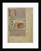 Northumberland Bestiary, c.1250-60 by English School