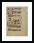 Northumberland Bestiary, c.1250-60 by English School