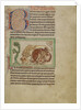 Northumberland Bestiary, c.1250-60 by English School