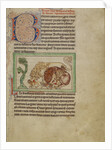 Northumberland Bestiary, c.1250-60 by English School