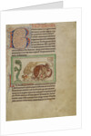 Northumberland Bestiary, c.1250-60 by English School
