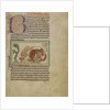 Northumberland Bestiary, c.1250-60 by English School