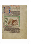 Northumberland Bestiary, c.1250-60 by English School