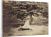 The Beech Tree, c.1855-7 by Gustave Le Gray