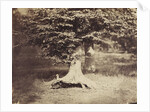 The Beech Tree, c.1855-7 by Gustave Le Gray