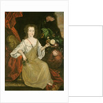 Young woman with a butterfly, c.1710 by American School