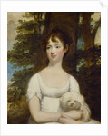 Mary Barry, 1803-5 by Gilbert Stuart