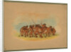 Mandan Buffalo Dance, 1861 by George Catlin