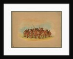 Mandan Buffalo Dance, 1861 by George Catlin