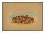 Mandan Buffalo Dance, 1861 by George Catlin