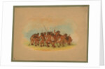 Mandan Buffalo Dance, 1861 by George Catlin