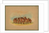 Mandan Buffalo Dance, 1861 by George Catlin