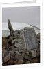 Plaque at the summit of Petermann Island, Antartica by Anonymous