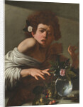 Boy Bitten by a Lizard, c.1595-1600 by Michelangelo Merisi da Caravaggio