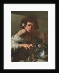 Boy Bitten by a Lizard, c.1595-1600 by Michelangelo Merisi da Caravaggio