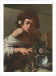 Boy Bitten by a Lizard, c.1595-1600 by Michelangelo Merisi da Caravaggio